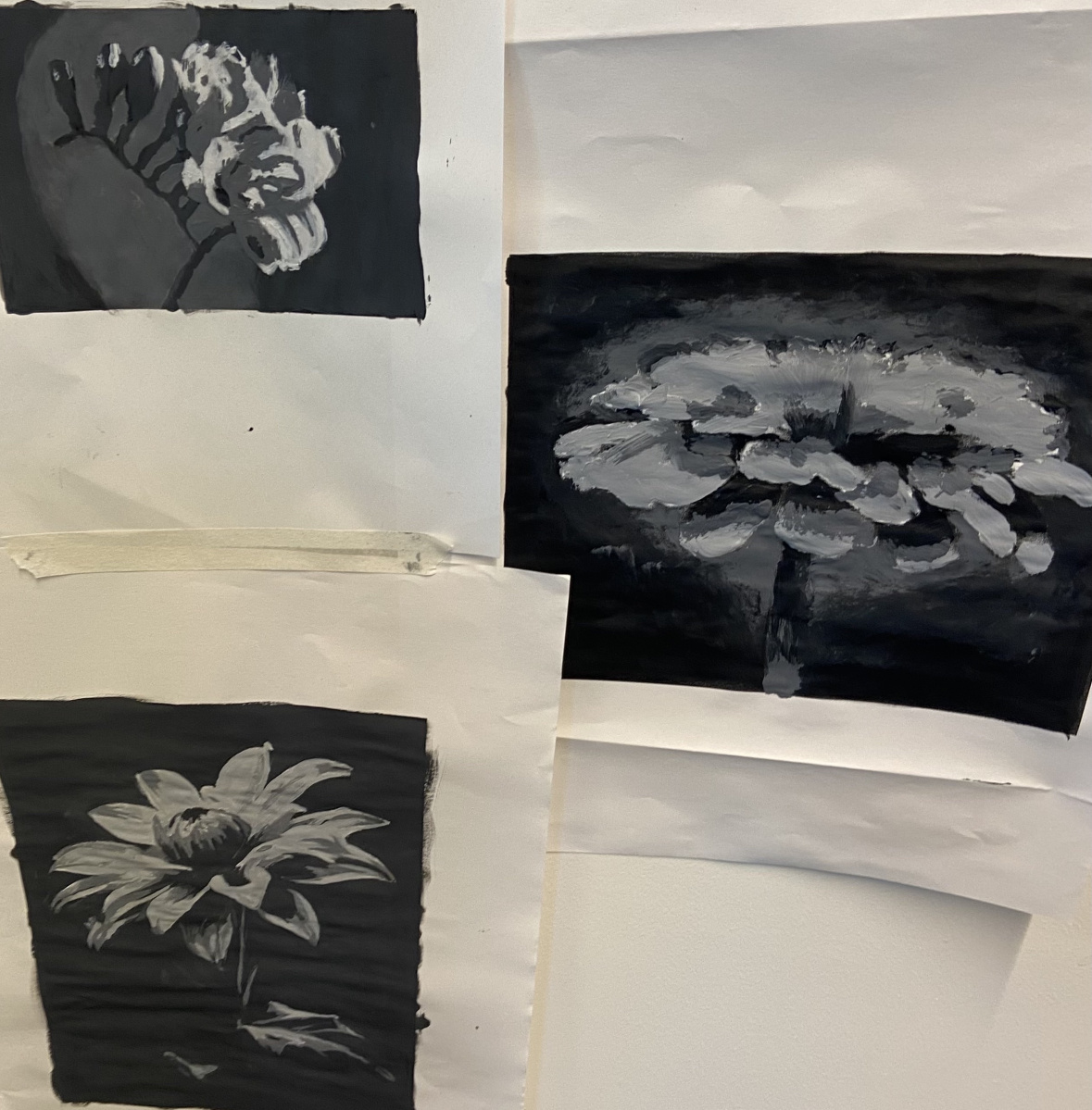 3 black and white flower paintings on wall