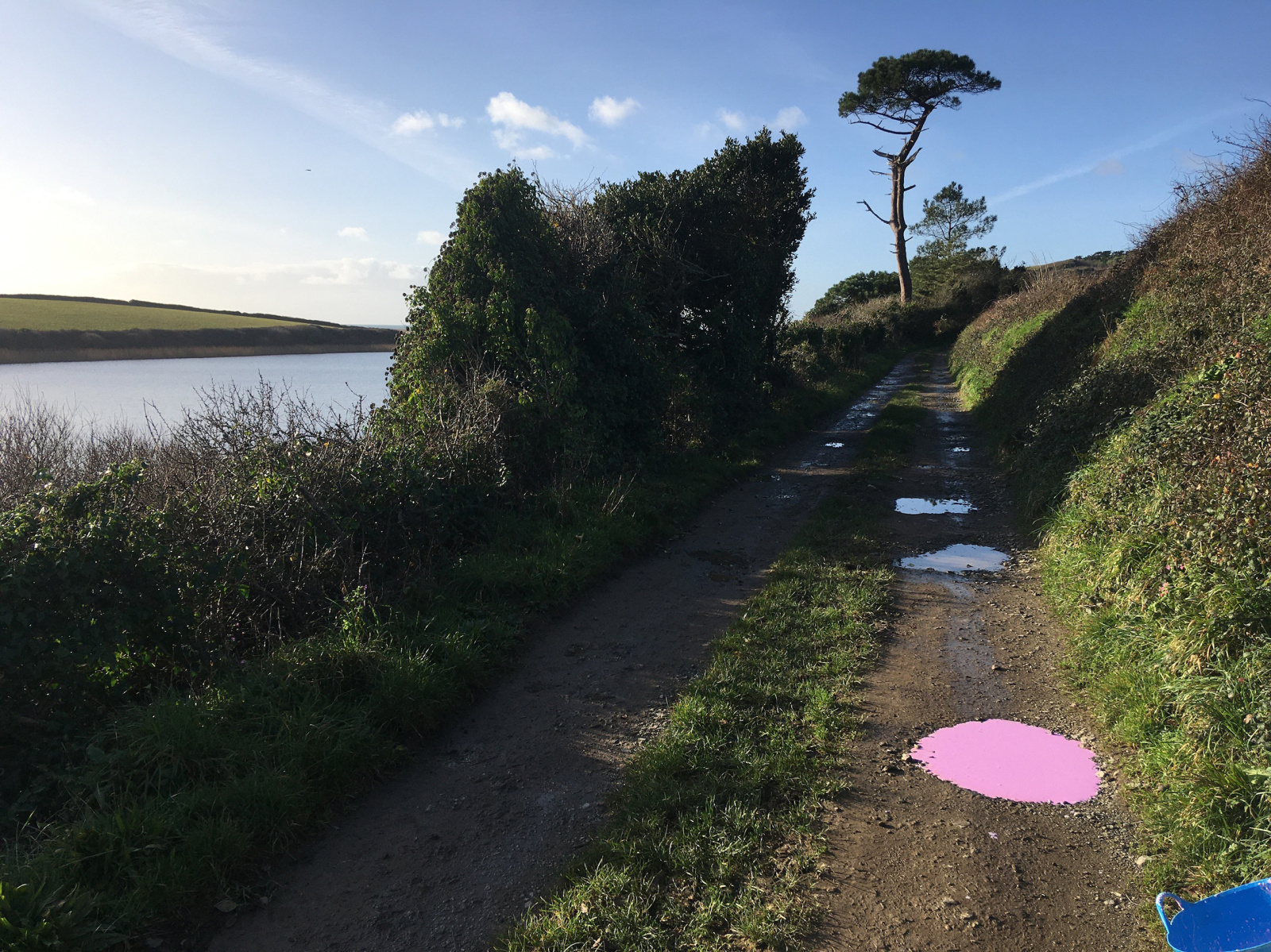 Lonely Puddle (Loe Pool)