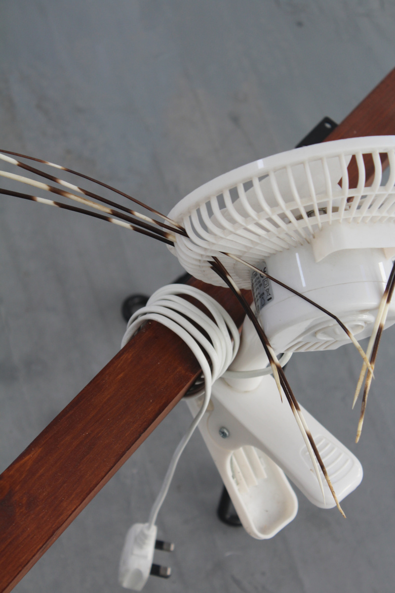 Detail of artwork comprising: Timber, drone propellers, ceiling fan blades and hardware, desk fan, porcupine quills, table legs, cedar cladding.