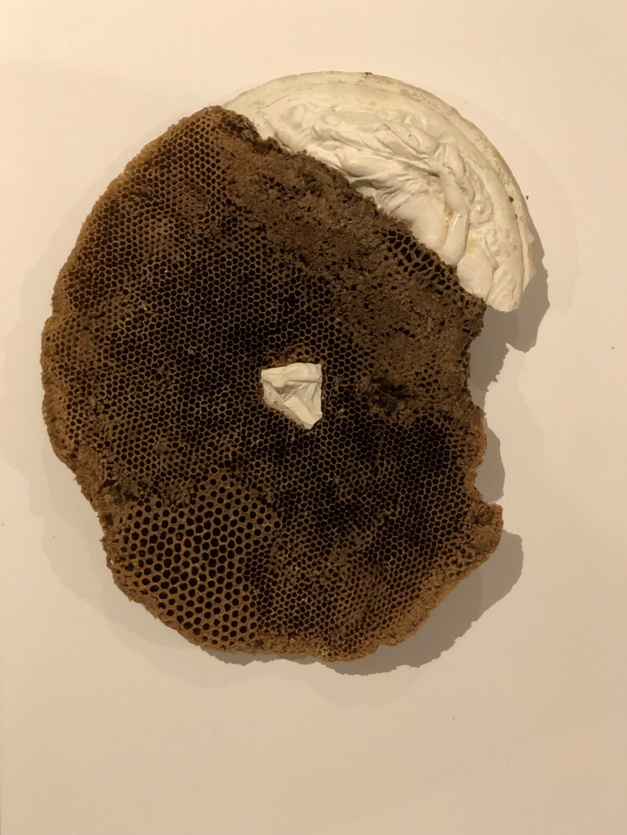 Sculpture, plaster mould and beehive