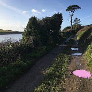 Lonely Puddle (Loe Pool)