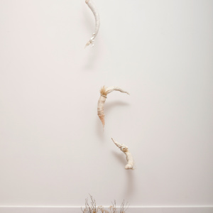 Sculpture, installation photo: small mound of earth with twigs, shell and small stones, on floor, 3 "flying" shapes, one above the other, above